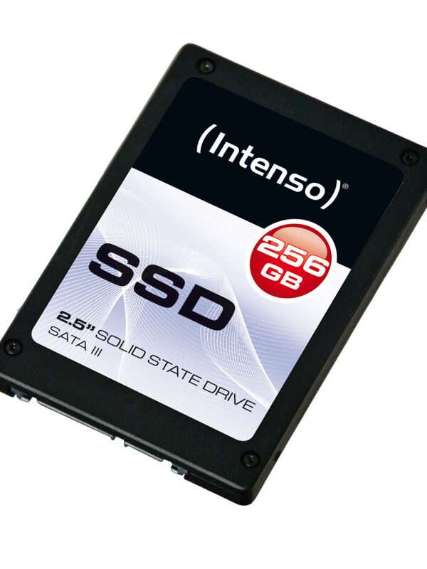 INTENSO Top 256GB 2