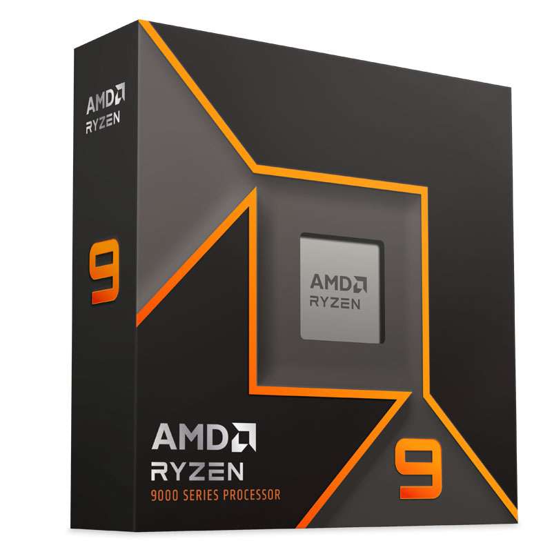 AMD Ryzen 9 9900X 4