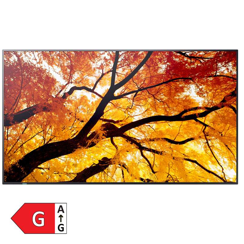 SHARP Multisync M552 138