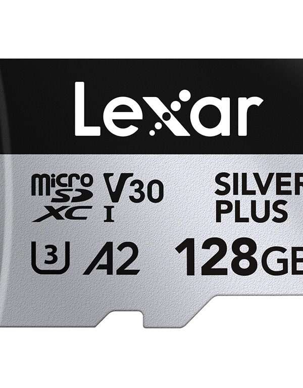 Spominska kartica Lexar Professional SILVER Plus