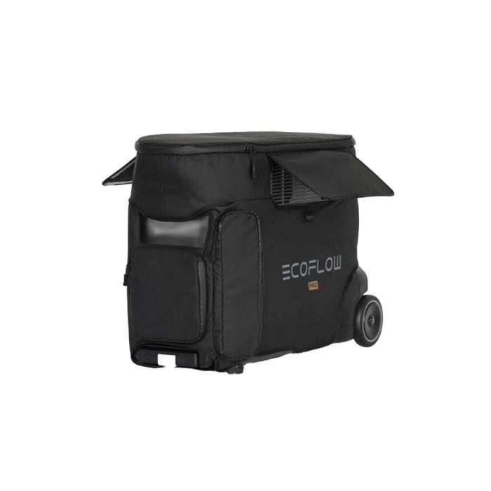Ecoflow torba za DELTA Pro