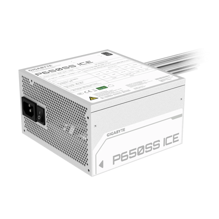 p650ss_ice-3
