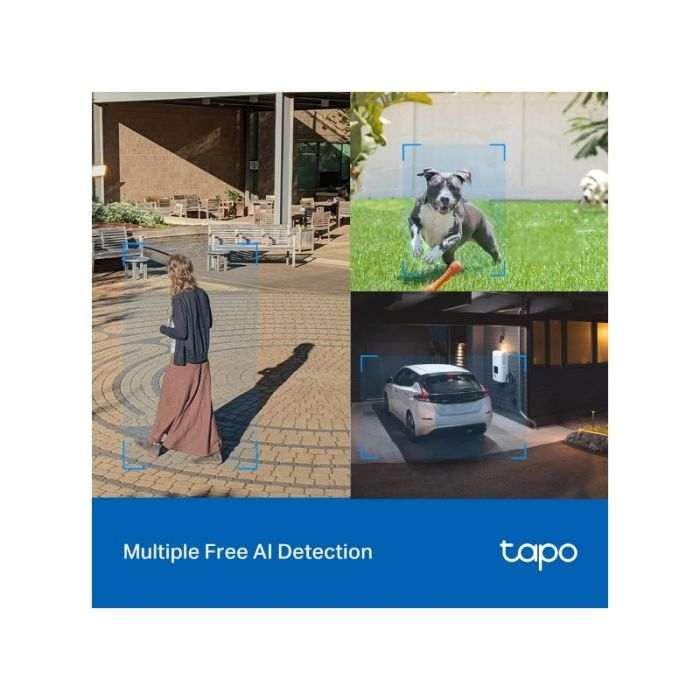 tapo_c520ws-5