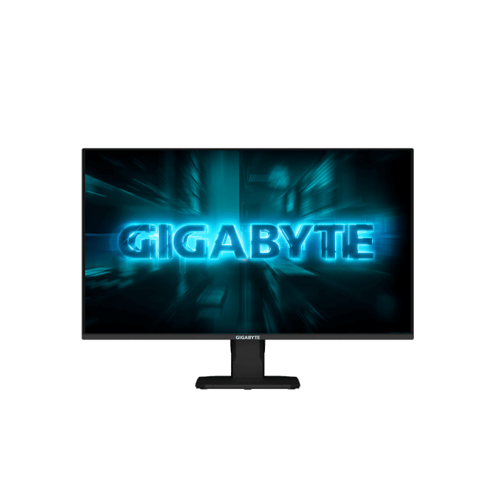 GIGABYTE GS25F14 24